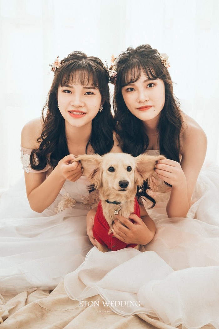 寵物寫真,寵物攝影,寵物照,毛孩照,紀念照